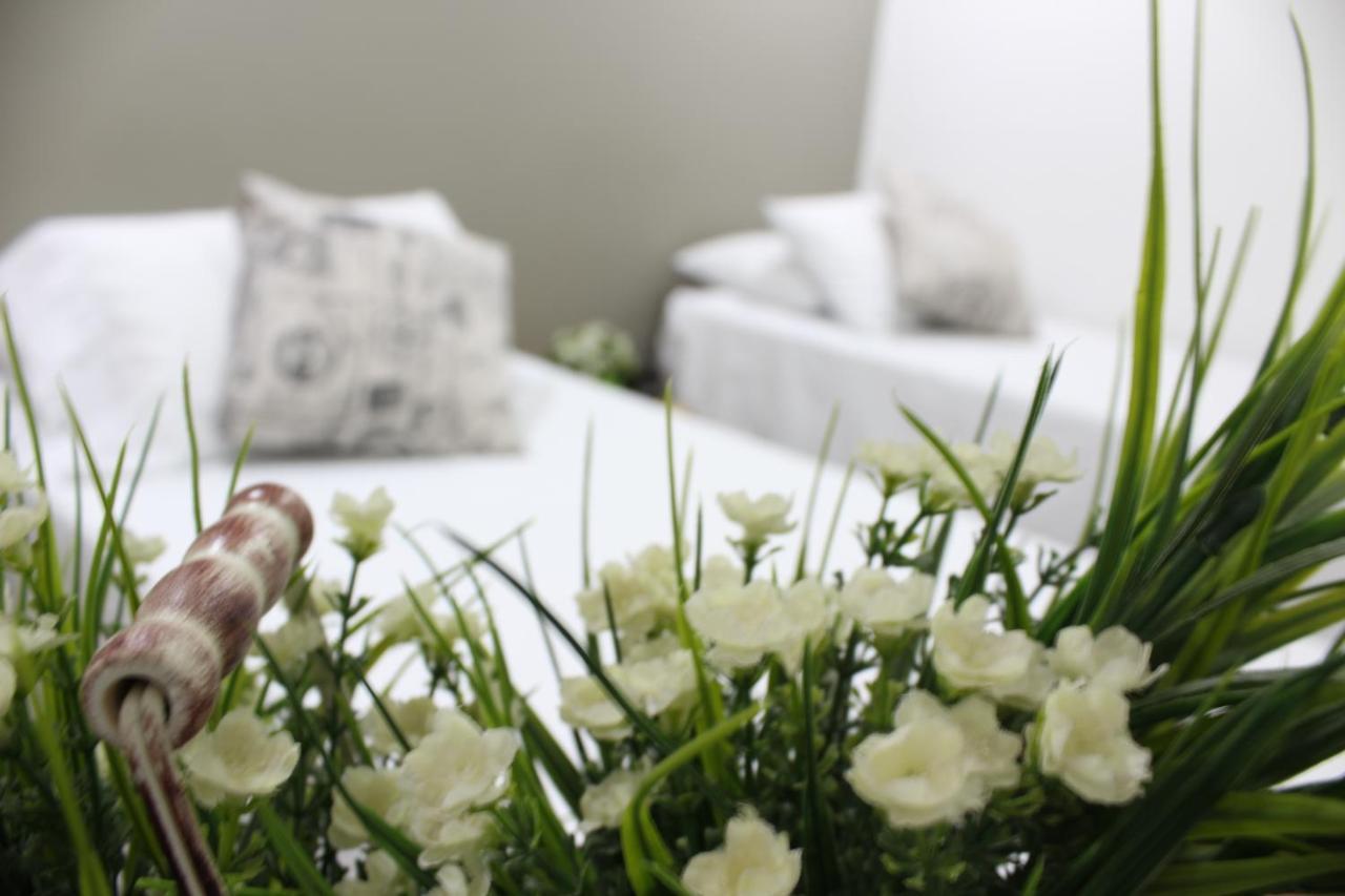 Hotel Boutique Plaza ميديلين المظهر الخارجي الصورة